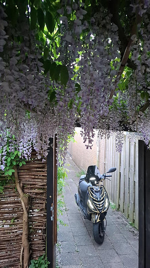 Scooter stickerset Volledig Stickersetje stickerset - Zip Graphicz