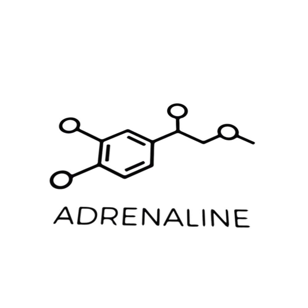 Adrenaline - Universal Sticker – Zip Graphicz