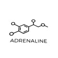 Adrenaline - Universal Sticker